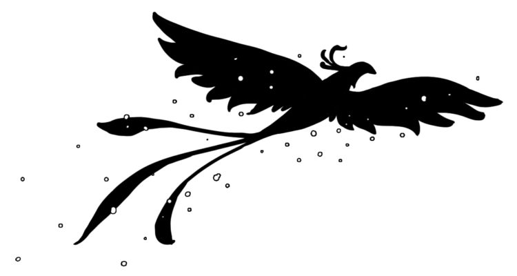 Silhouette of exotic flying bird